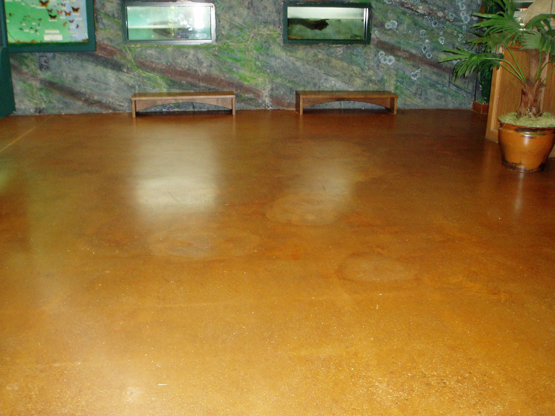 Brown, polished floor with visible light-colored patches, beneath two wooden benches against a stone wall.