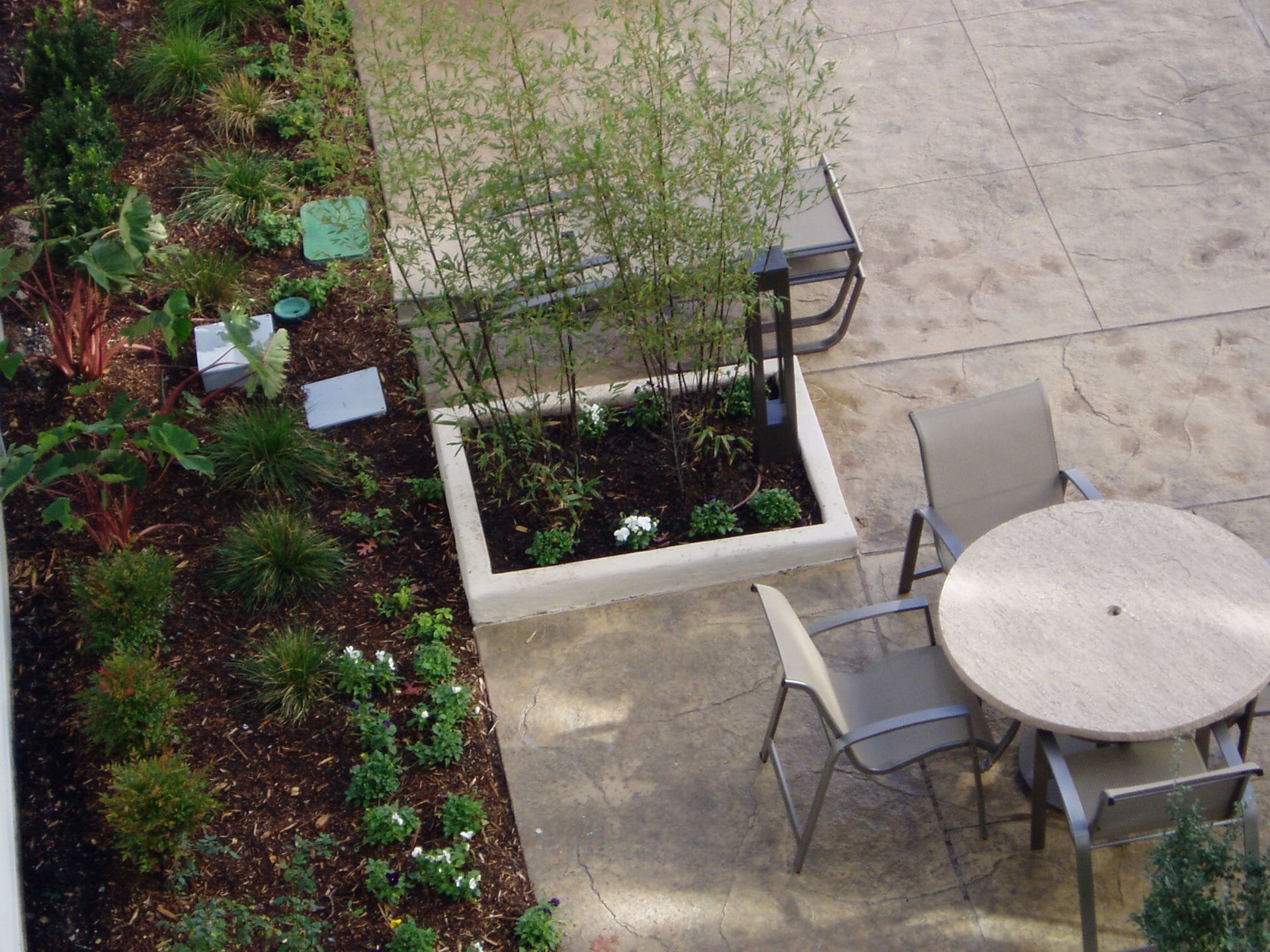 Overhead view of patio with table, chairs, and planter with bamboo and other plants along the edge.
