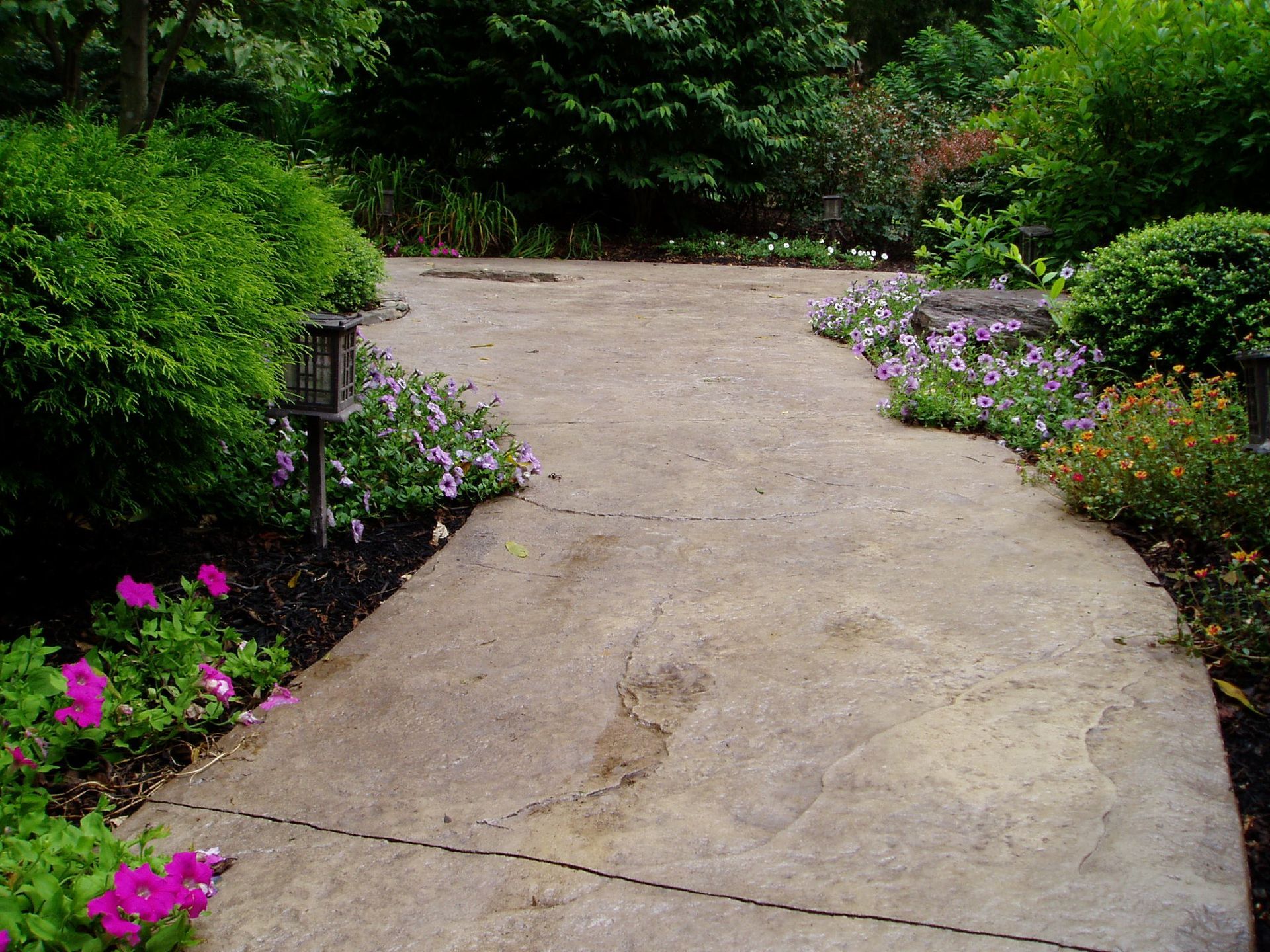 Concrete path winding through a garden, lined with bushes and purple and orange flowers.