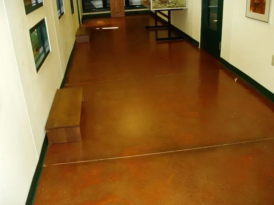 Hallway with brown shiny floor, benches, windows, and green trim.