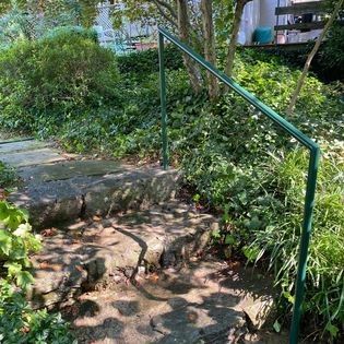 There is a green railing on the stairs in the garden.