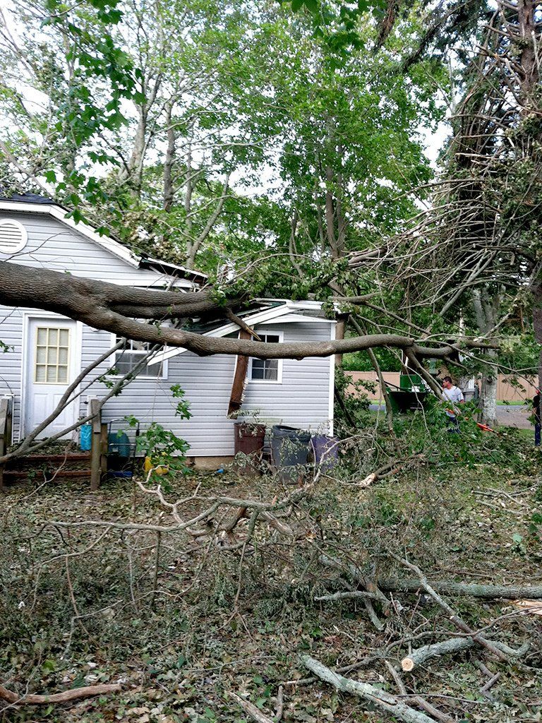 Tree Tops Tree Service Inc Gallery | East Moriches, NY