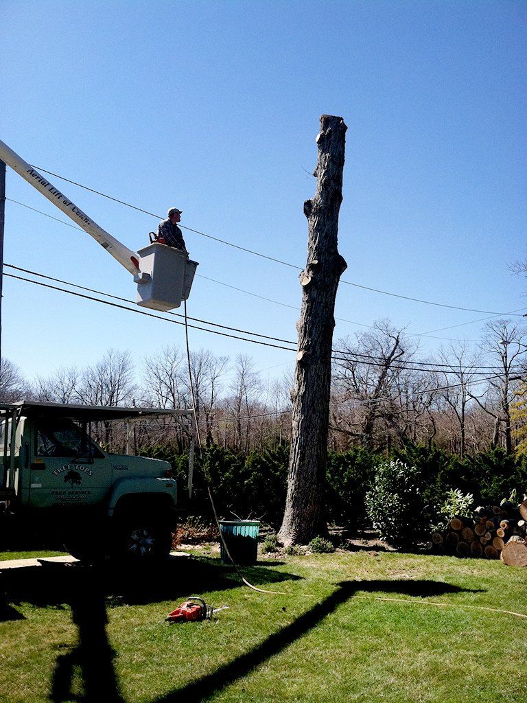 Tree Service