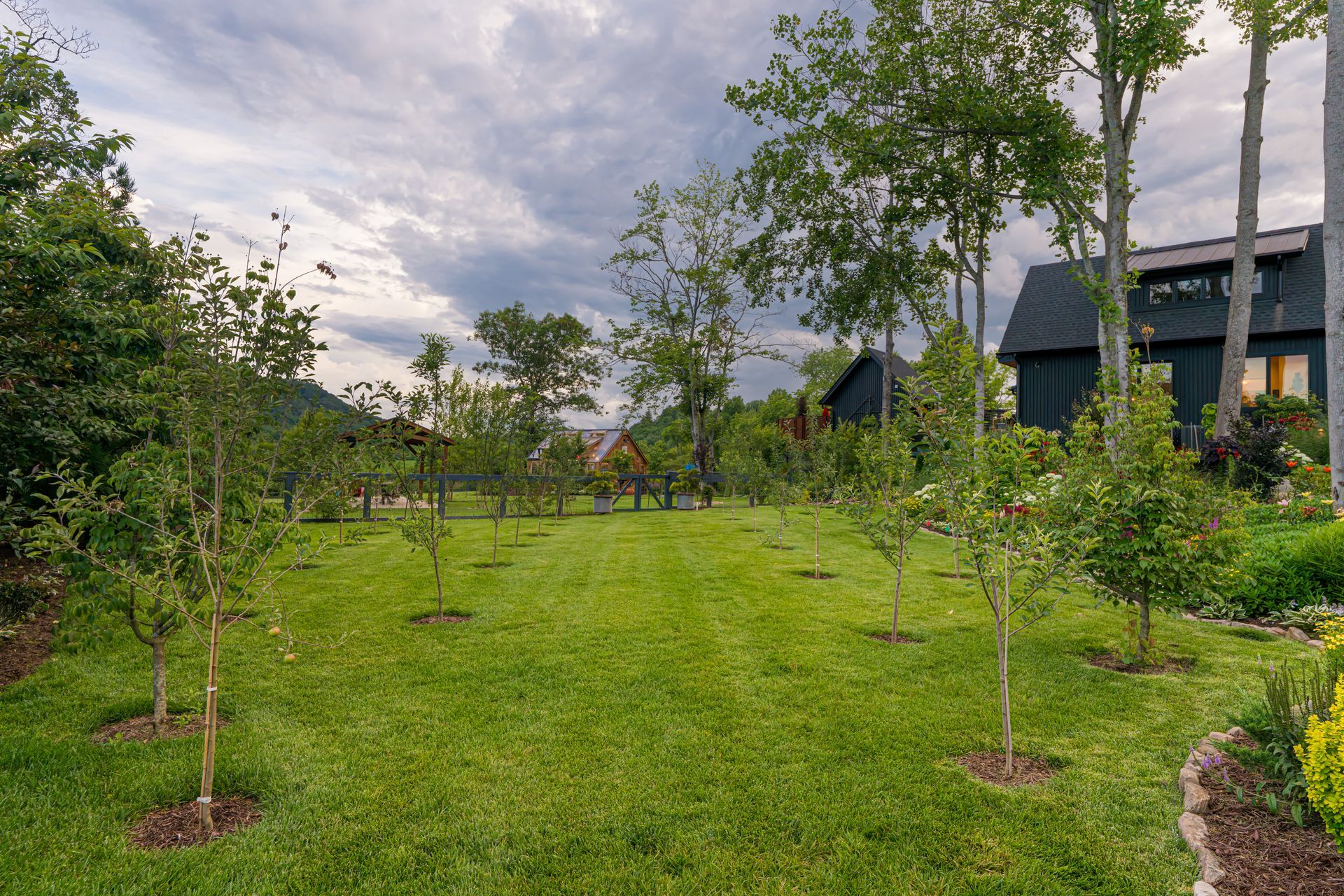 Lush green lawn with young trees and shrubs in a landscaped garden beside houses under a cloudy sky