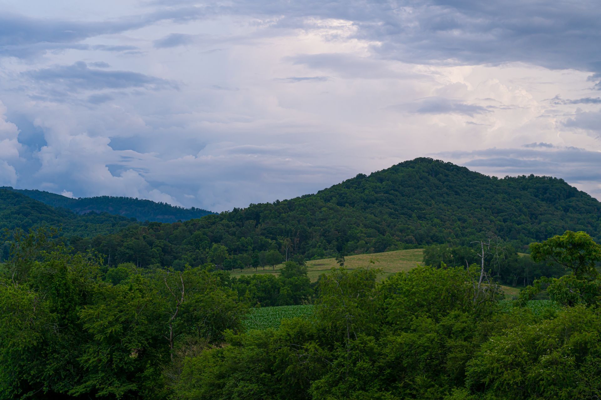 Lush green hills under a cloudy sky, with a valley of dense forest in the foreground.