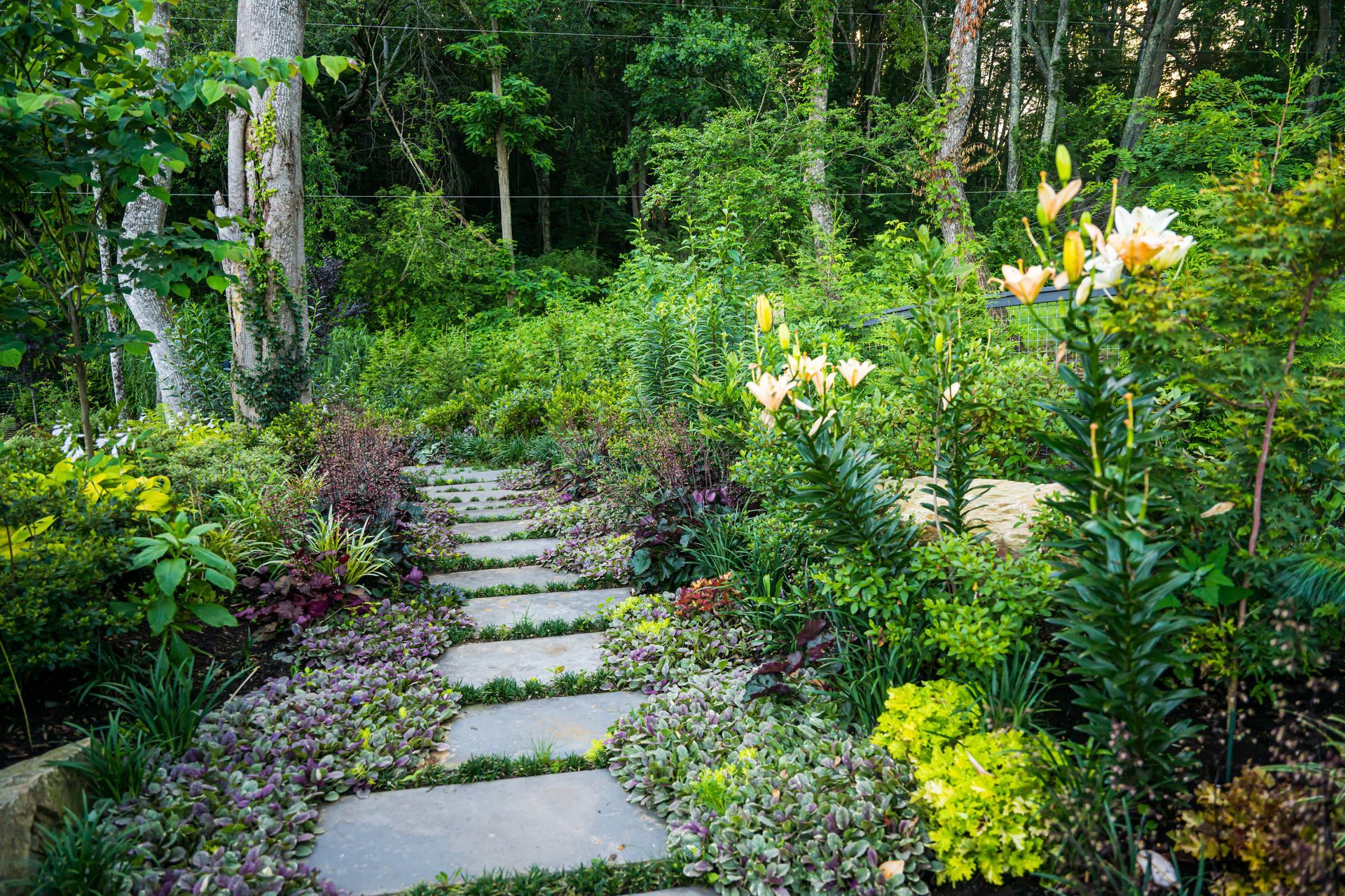 Stone path winding through a lush green garden with white flowers and tall trees