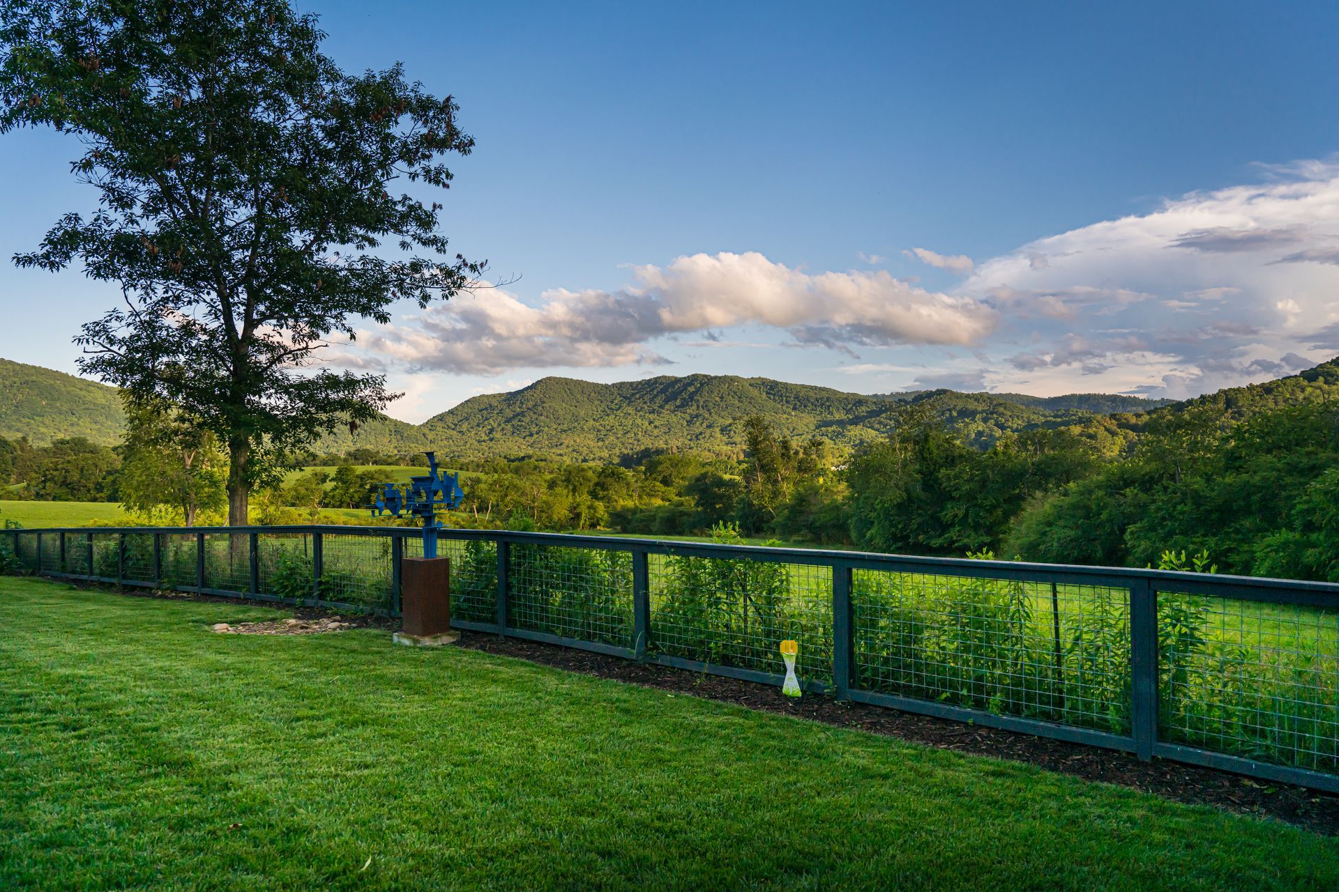 Green lawn with a tree and fence overlooking rolling hills under a cloudy sky