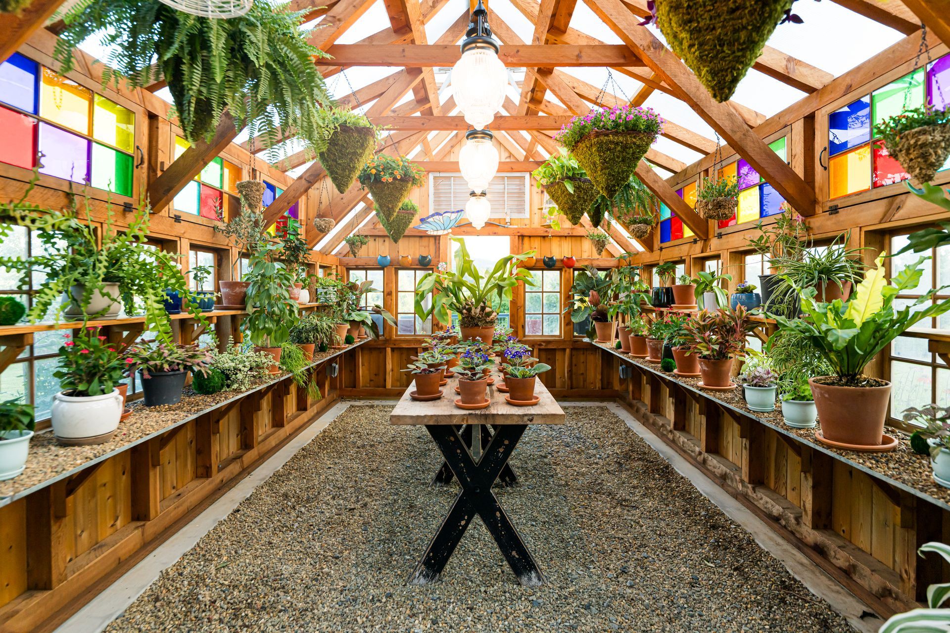 Bright greenhouse interior with wooden beams, hanging plants, and long tables lined with potted plants.