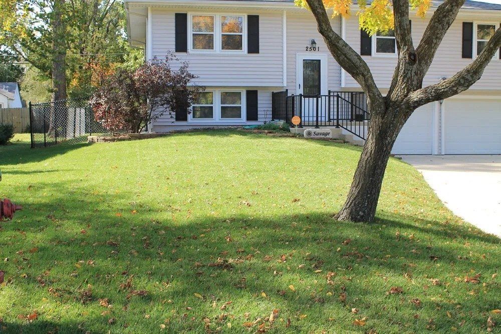 Lawn care