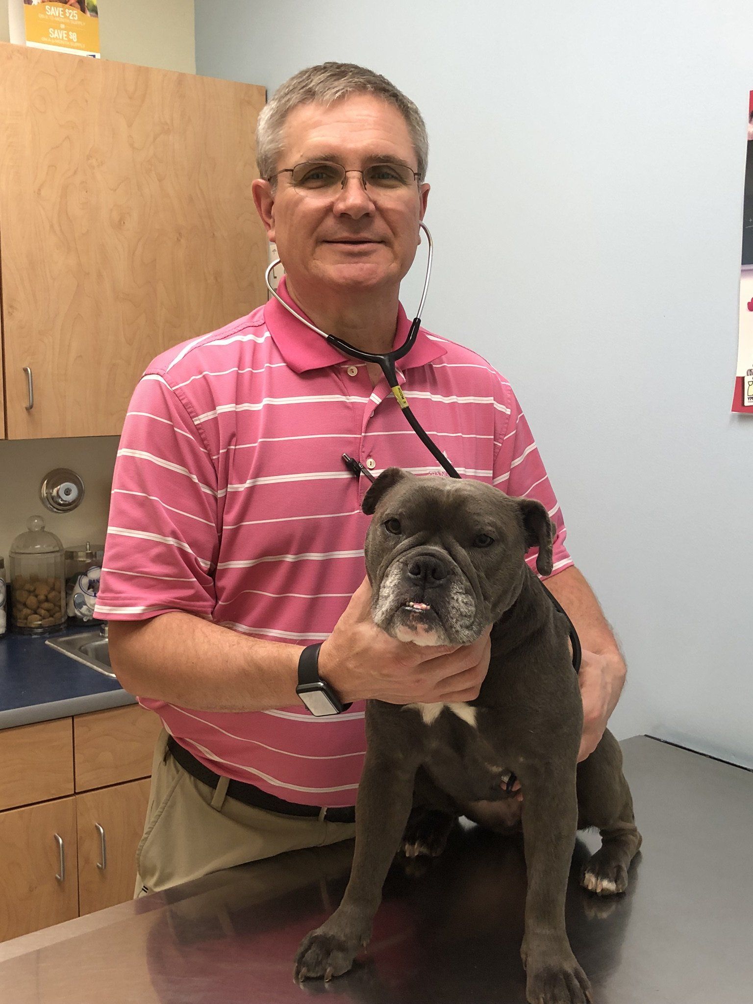 About Vogel Veterinary Hospital | Arnold, MO Pet Clinic