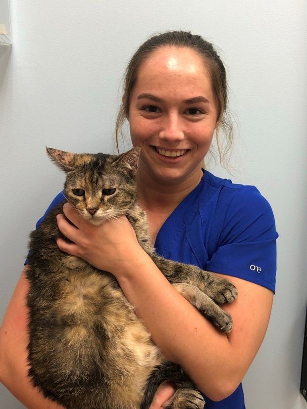 About Vogel Veterinary Hospital Arnold Mo Pet Clinic