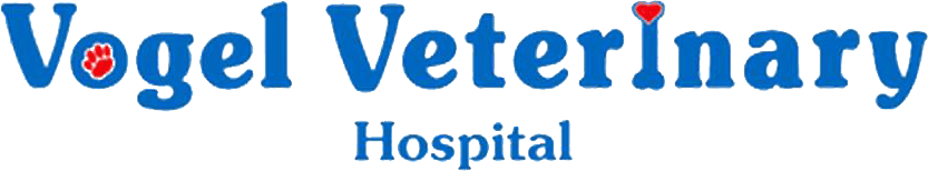 37+ Vogel animal hospital ideas