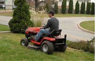 Guy using a lawn mower