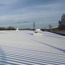 TPO white roof