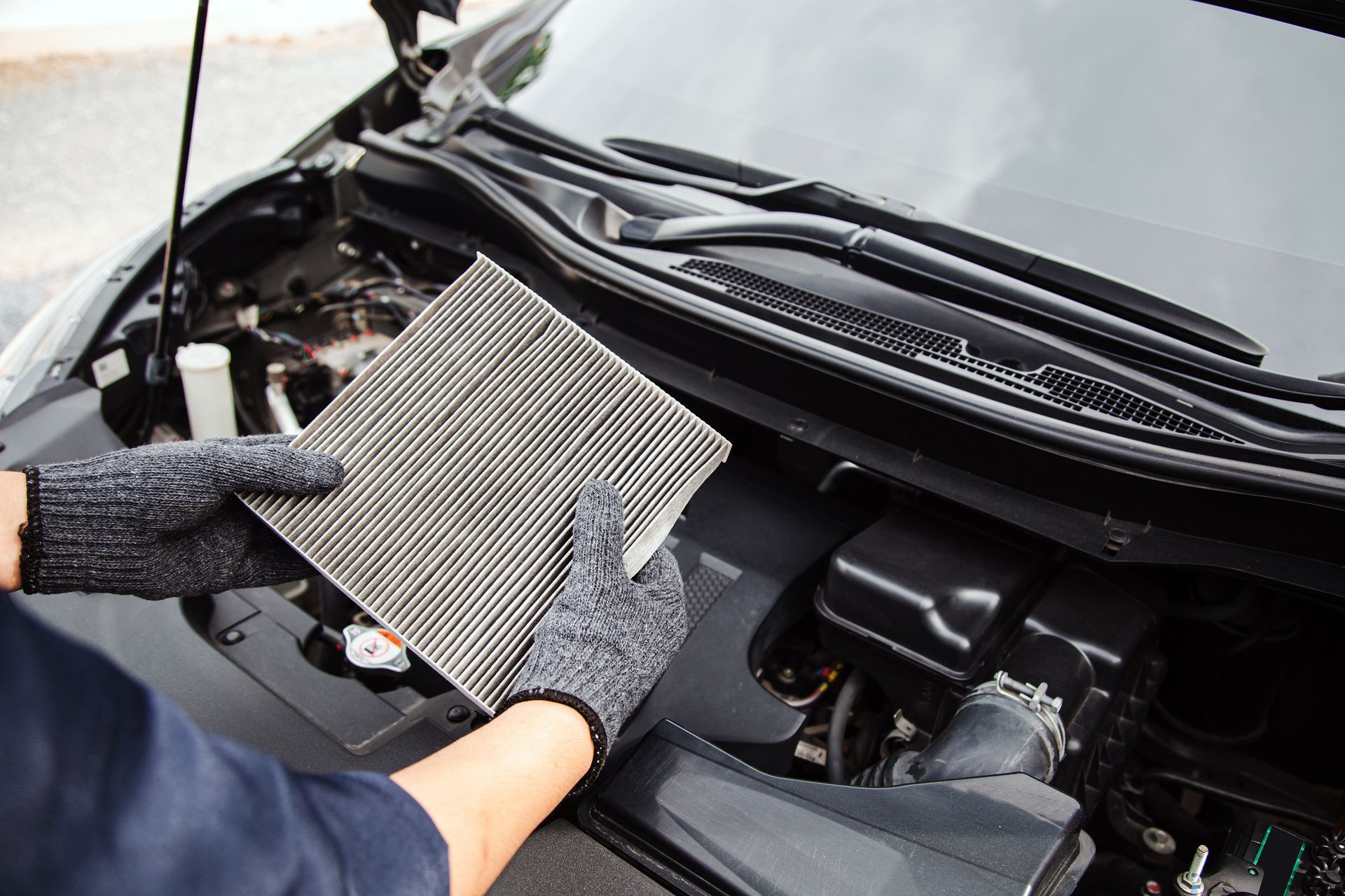 Dynamic Motorsports, LLC