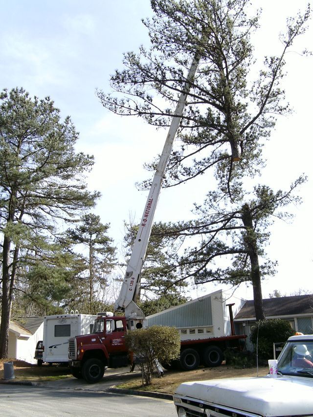 A red truck with a crane attached to it is cutting a tree