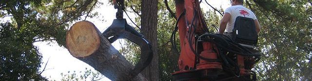 A man is standing on a crane holding a log.