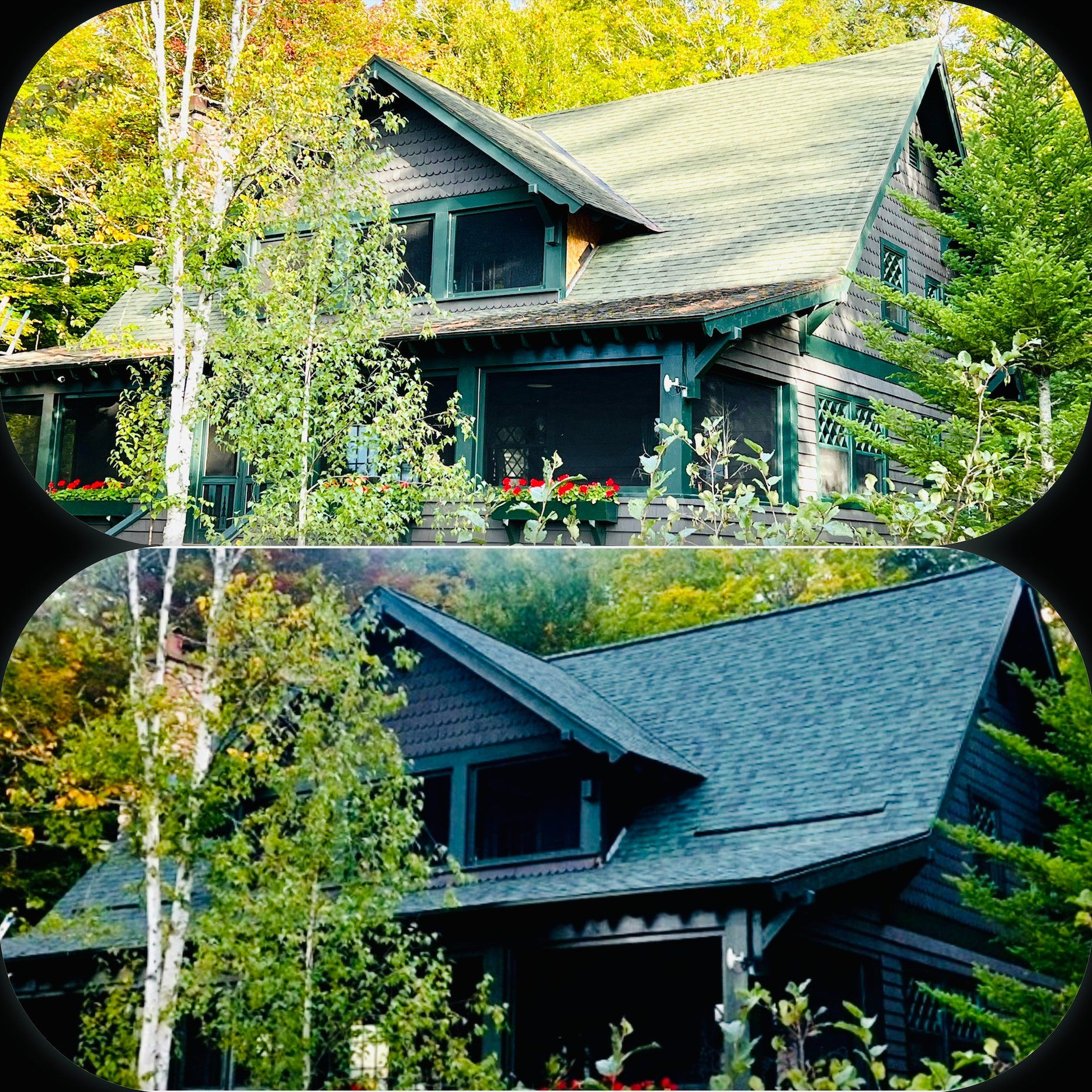 Beautiful house with green roof