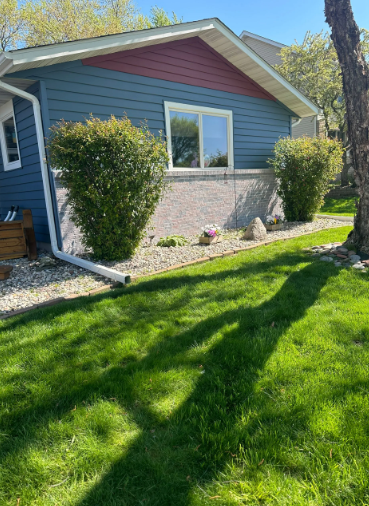 Blue house with white trim, red roof trim, green lawn, two bushes, and a tree.