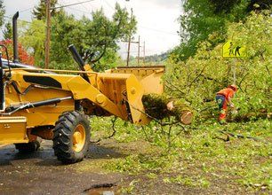 Storm Cleanup