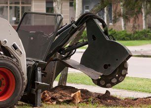 Stump Grinding