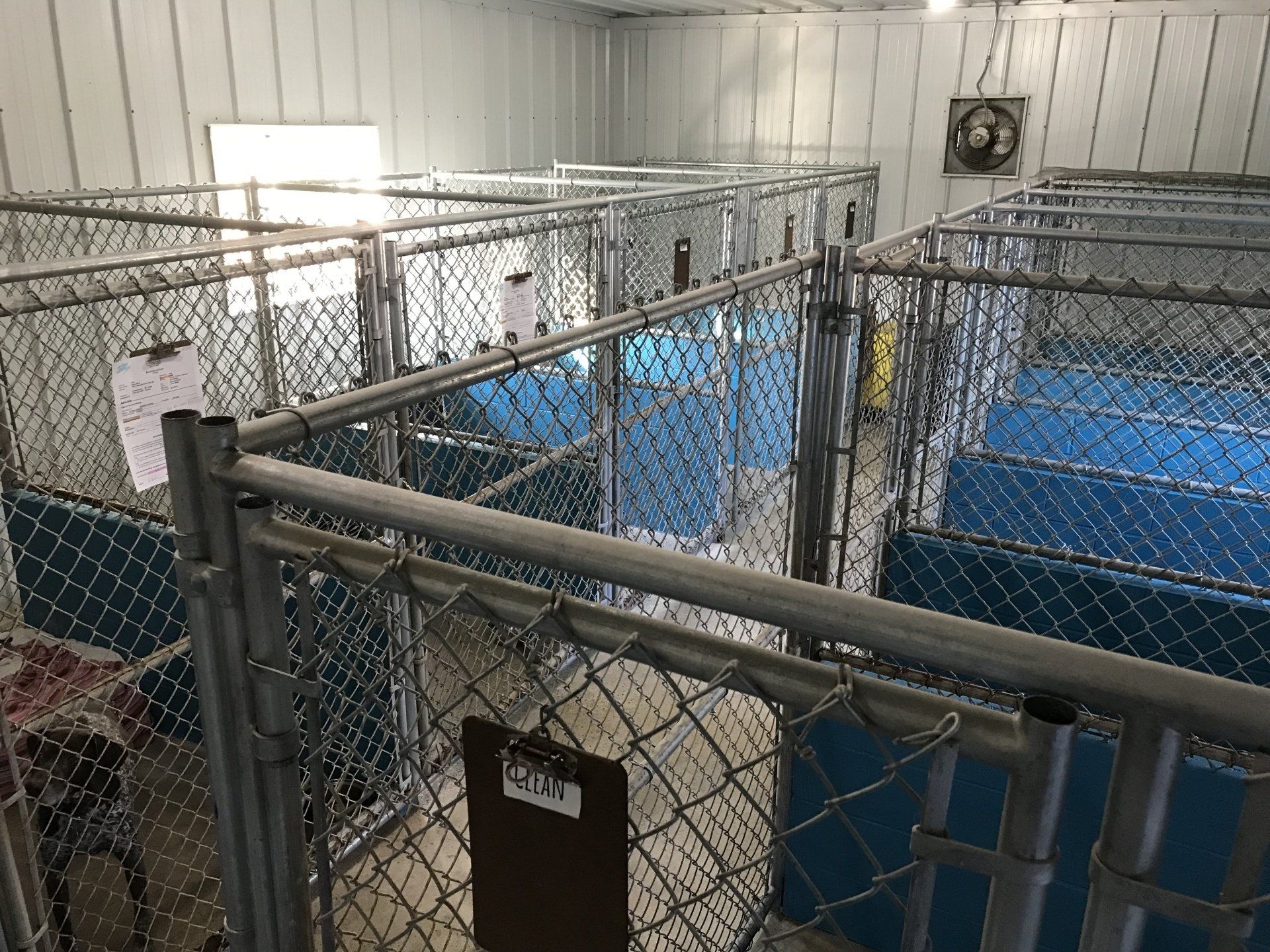 Affordable Boarding Services