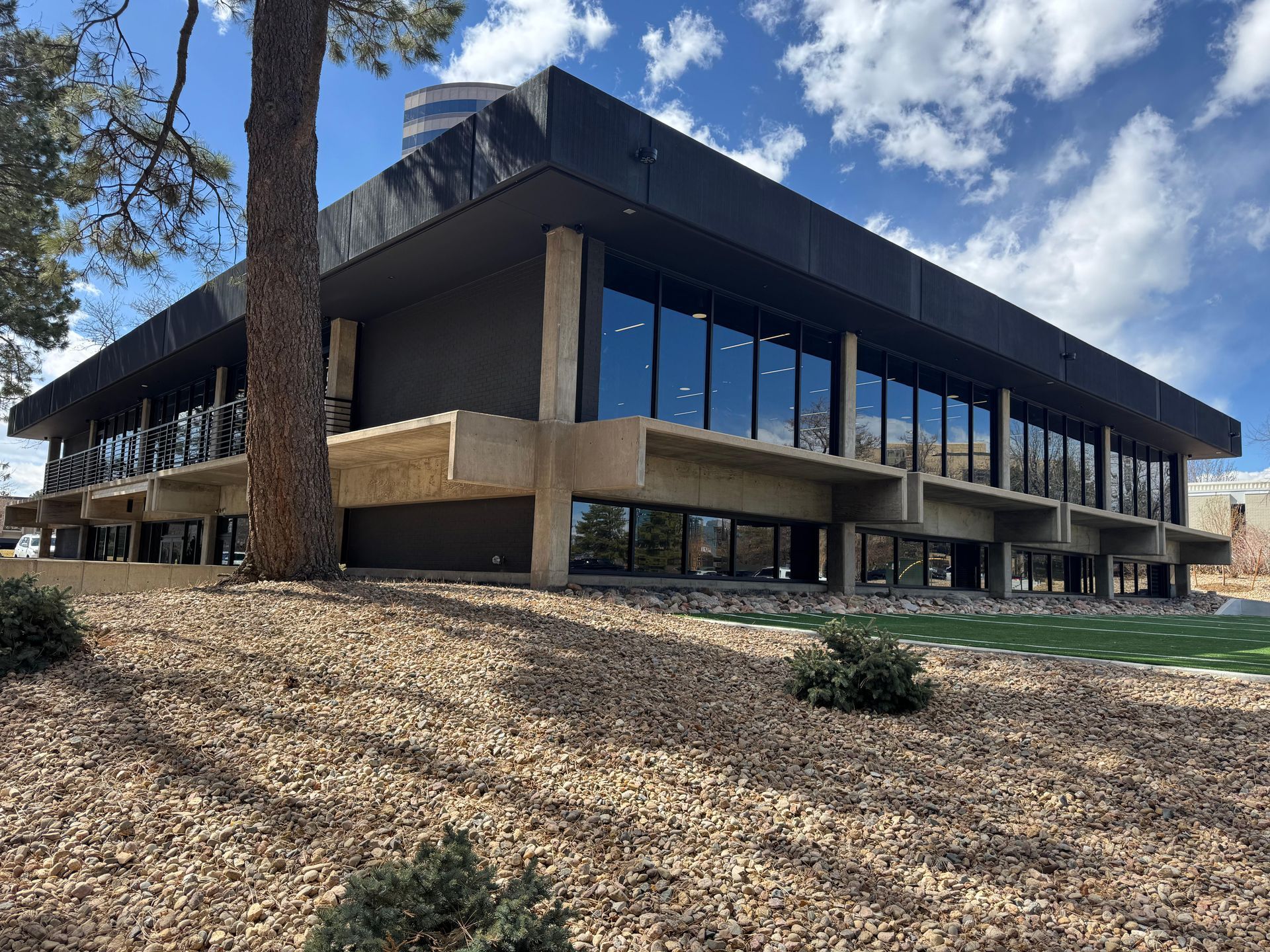 Modern building with large windows, on a slight hill covered with gravel and a tree. Blue sky and clouds.