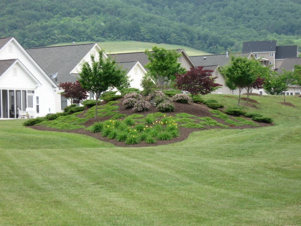 Landscaped garden bed on a grassy hill, with colorful flowers and small trees. Houses and hills in the background.