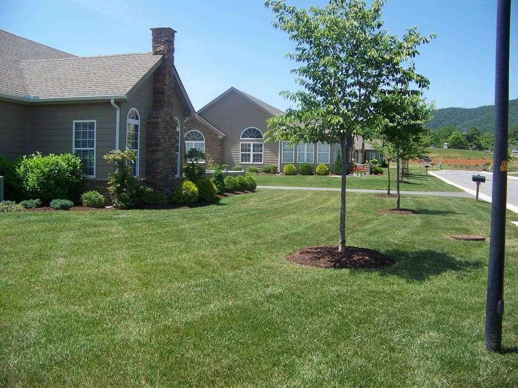 Well-manicured lawn and trees in front of a tan house with a brick chimney and a mountain in the background.
