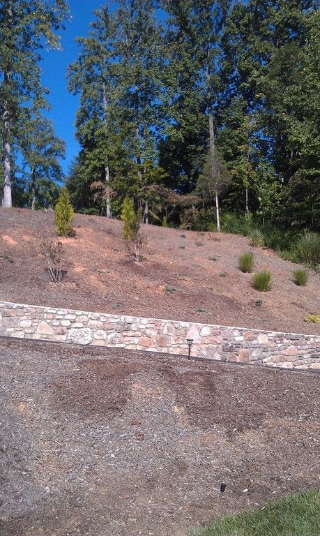 Hillside with a stone retaining wall and small trees.