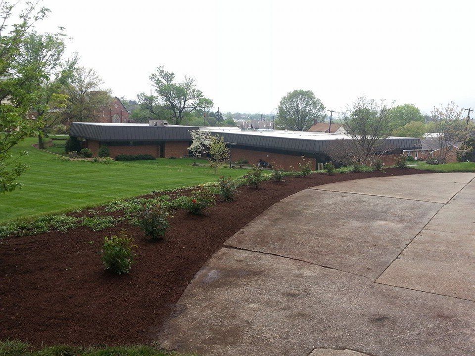 Building with a curved driveway, lawn, and newly planted bushes in a bed of mulch.