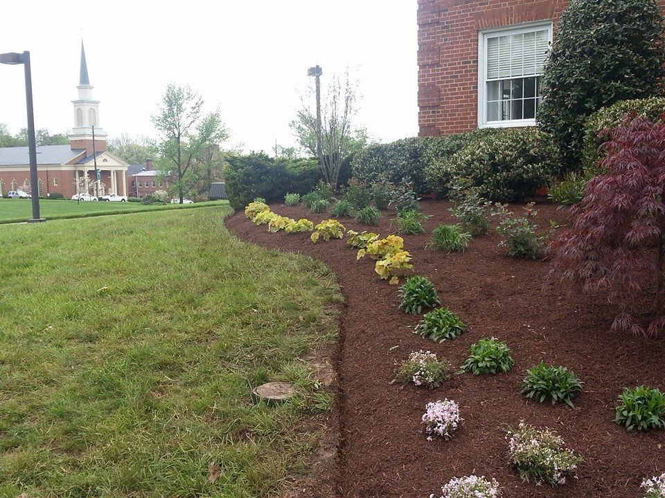 Landscaped flower bed with various plants and brown mulch next to a brick building and a church.