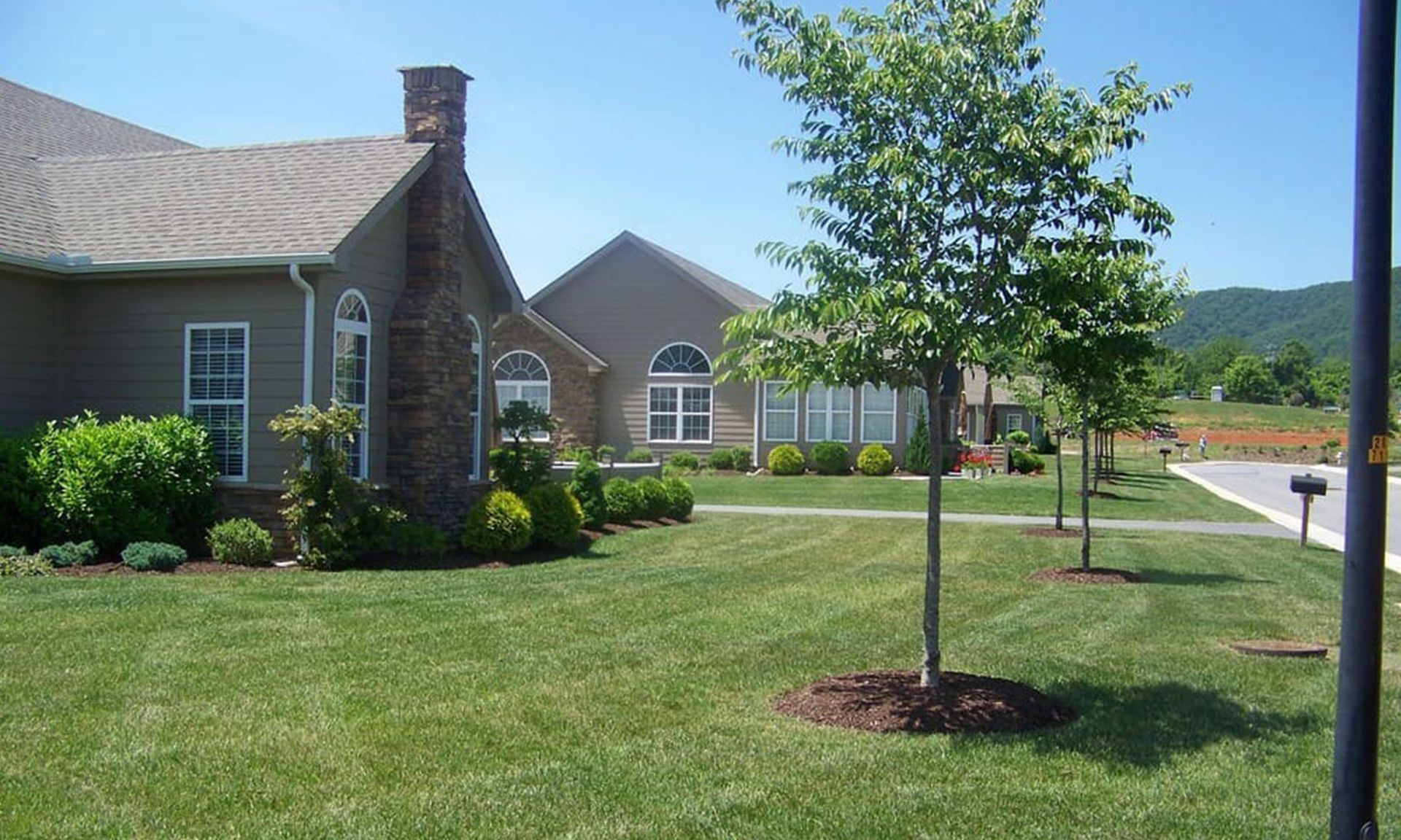The Tyler Rose Inc. photo 3