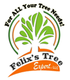 Felix's Tree Expert, LLC