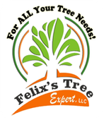 Felix's Tree Expert, LLC | Logo