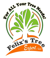 Felix's Tree Expert, LLC | Logo
