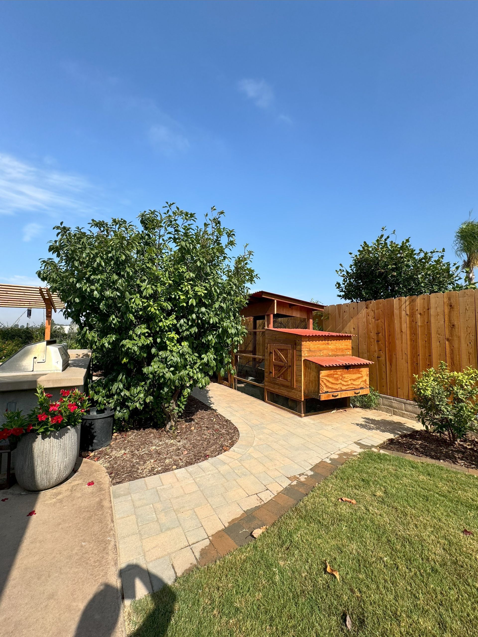 A backyard with a chicken coop and a wooden fence