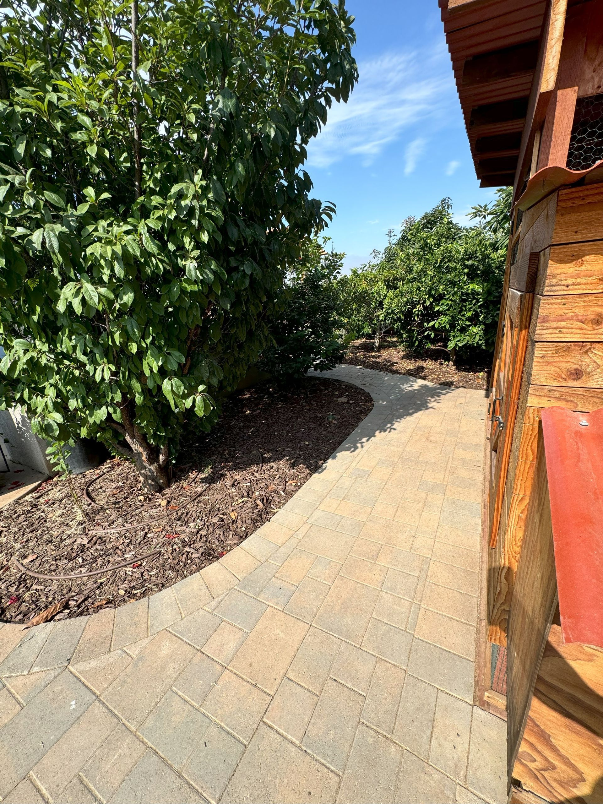 A brick walkway leading to a wooden building surrounded by trees