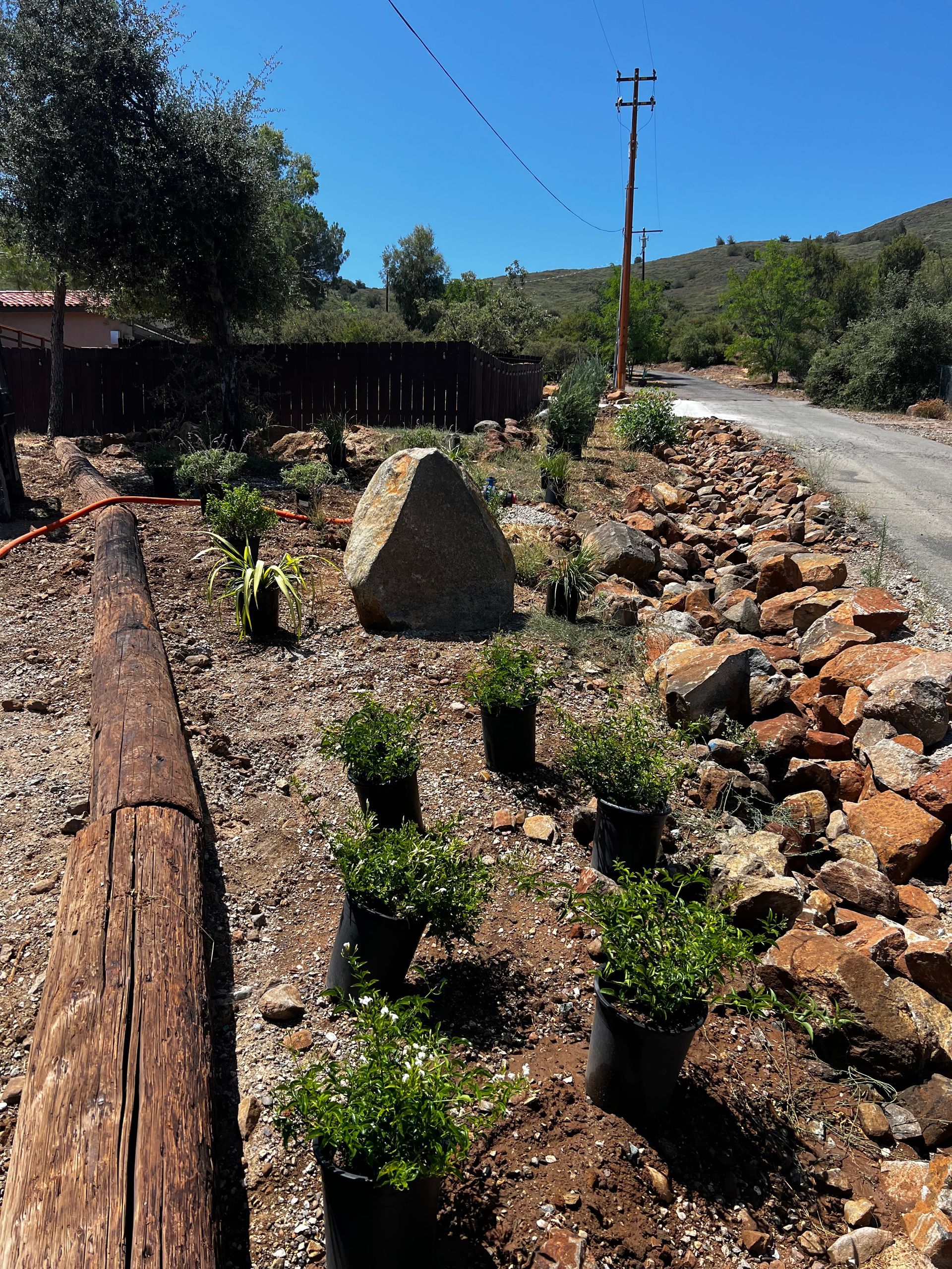 A garden with lots of potted plants and rocks on the side of a road