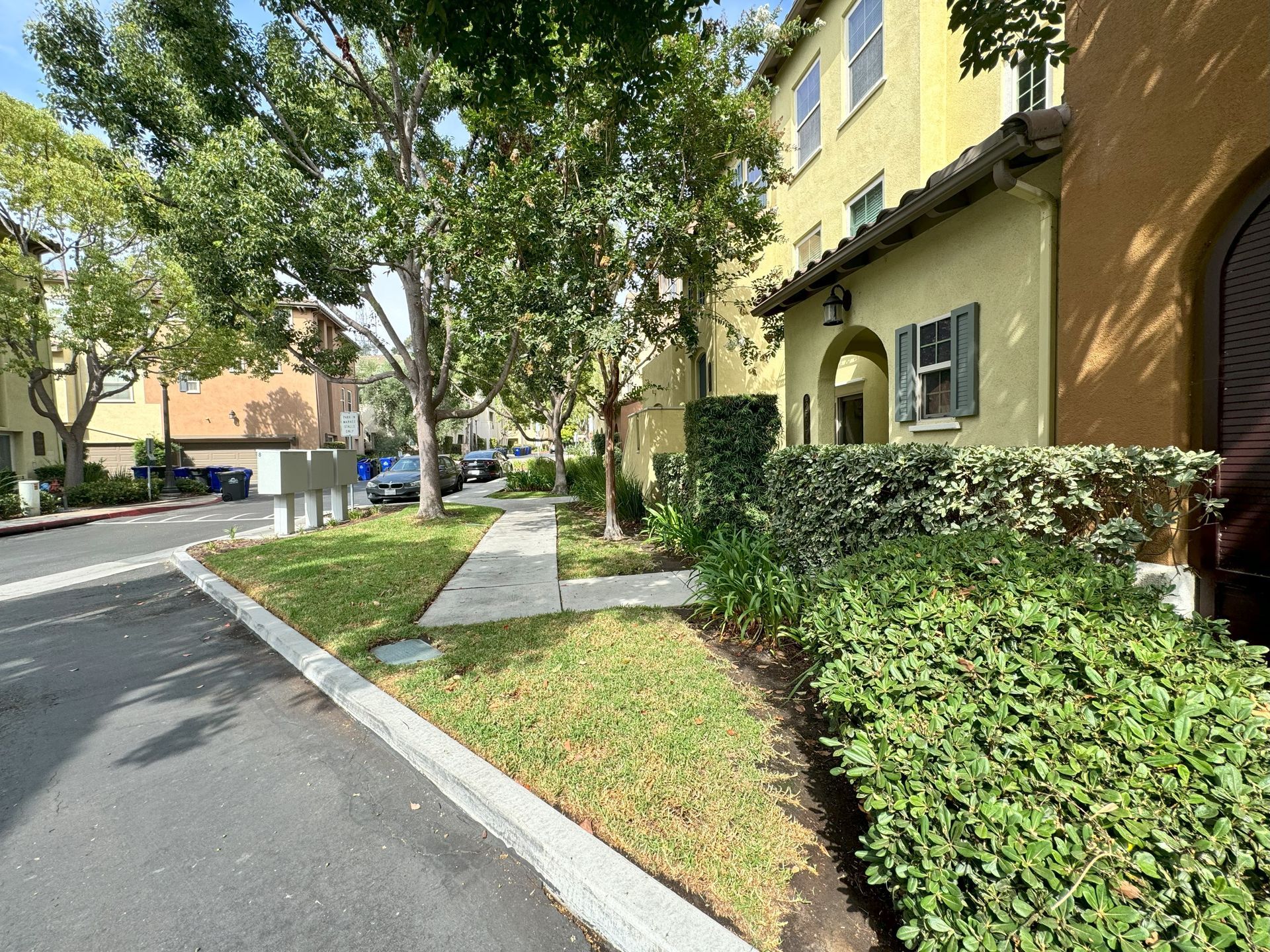 A sidewalk leading to a building in a residential area