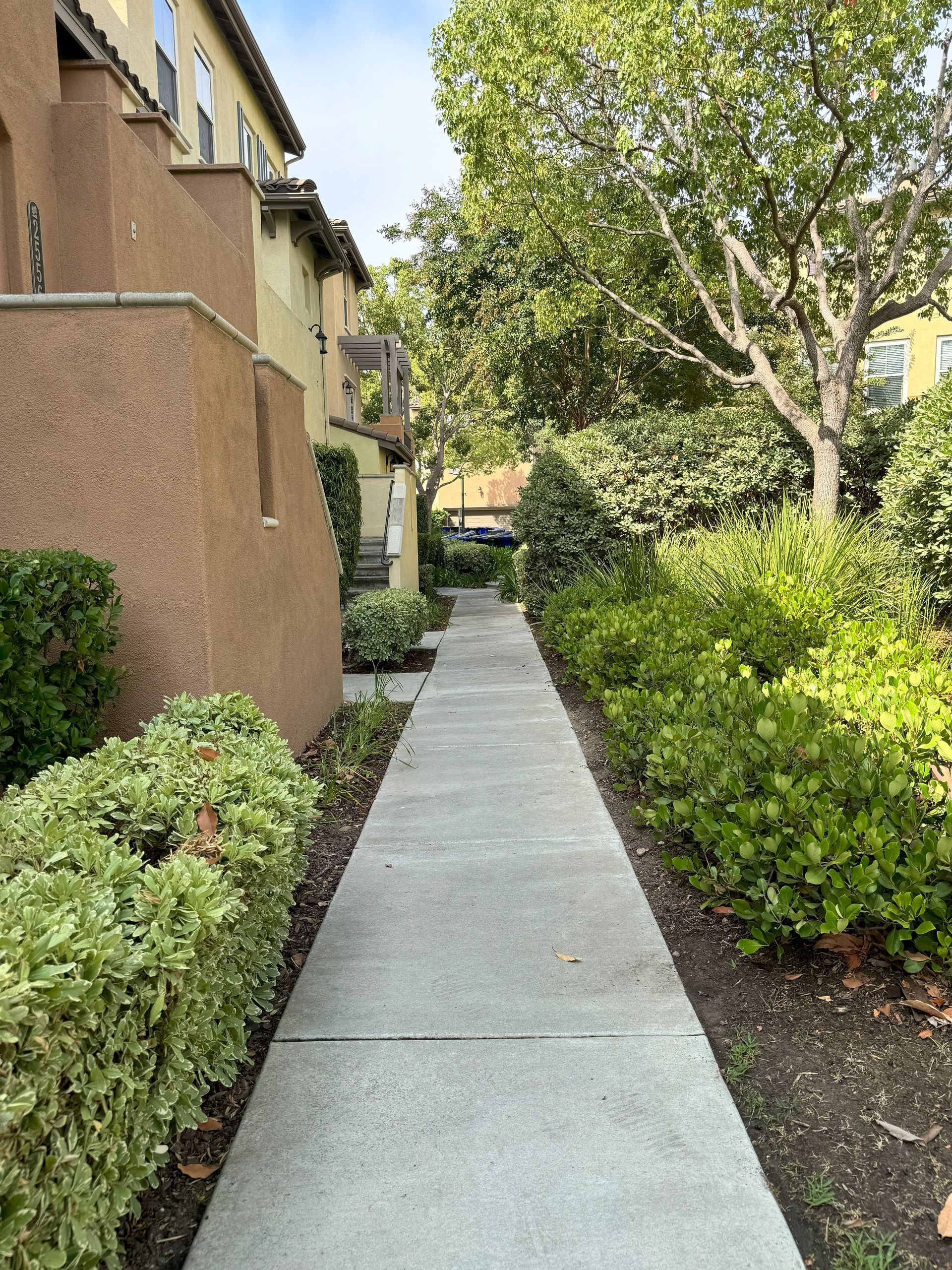 A concrete walkway leads to a building with trees and bushes on both sides