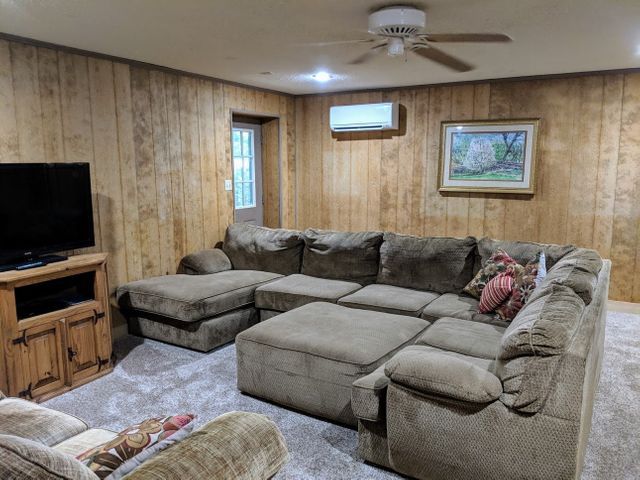 Downstairs T.V. Area