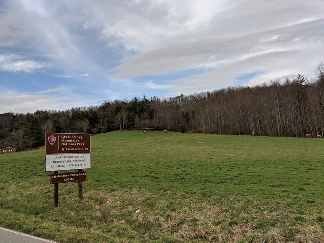 Hawthorn Haven Cabins & Chapel