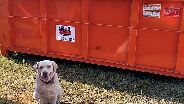 4 YARD DUMPSTER BAG ANTIGO - All American Dumpster Rentals