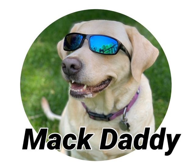 Mack daddy sunglasses online