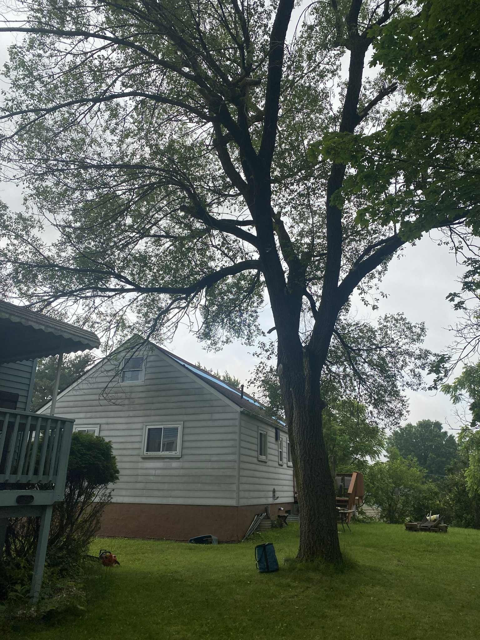 A tree in front of a white house with a gray roof on a cloudy day.