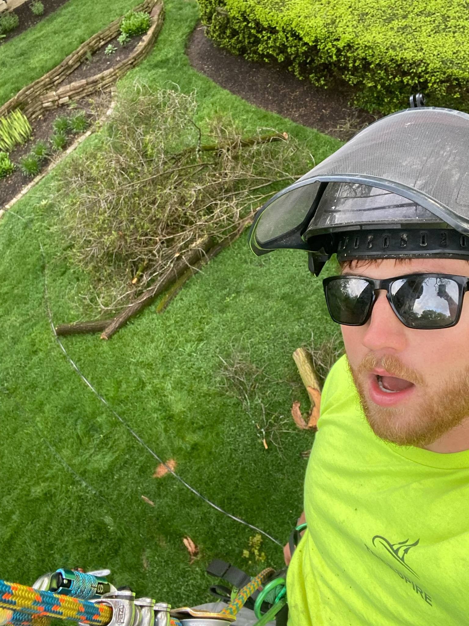 Man in sunglasses and safety gear working on a hillside with green grass and trimmed bushes.