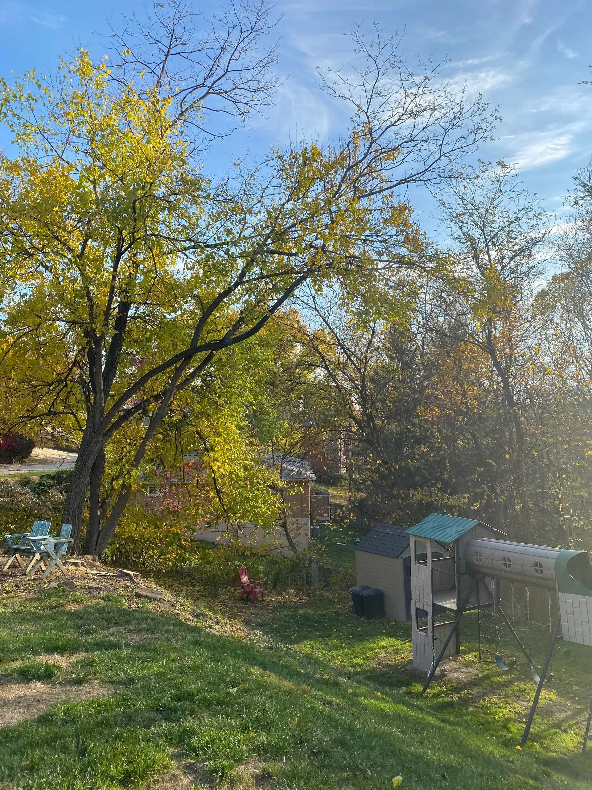 Yard with colorful autumn trees, playground, shed, and a pond under a bright sky.
