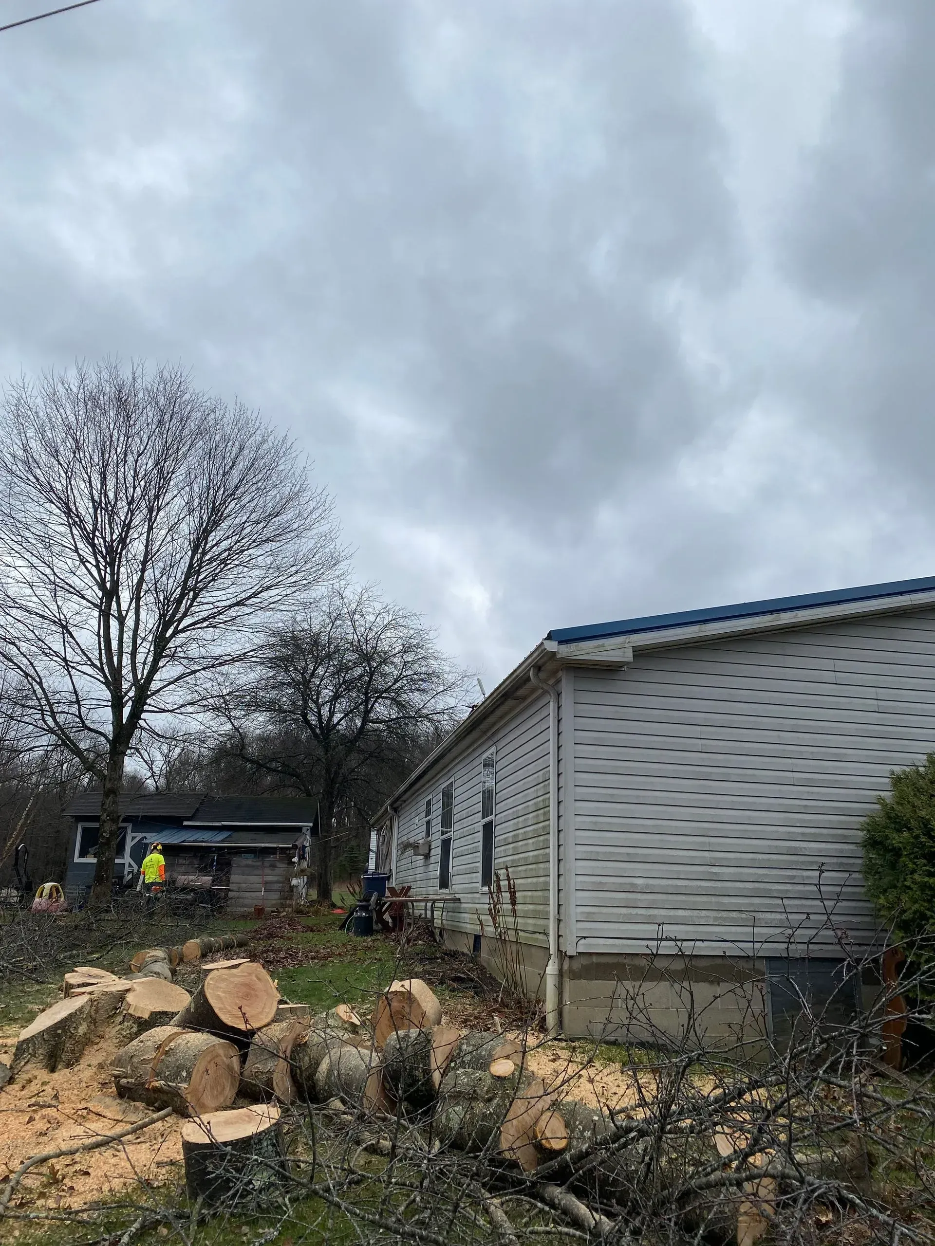A cloudy day with a house and cut logs scattered in front. A person is visible near the house.