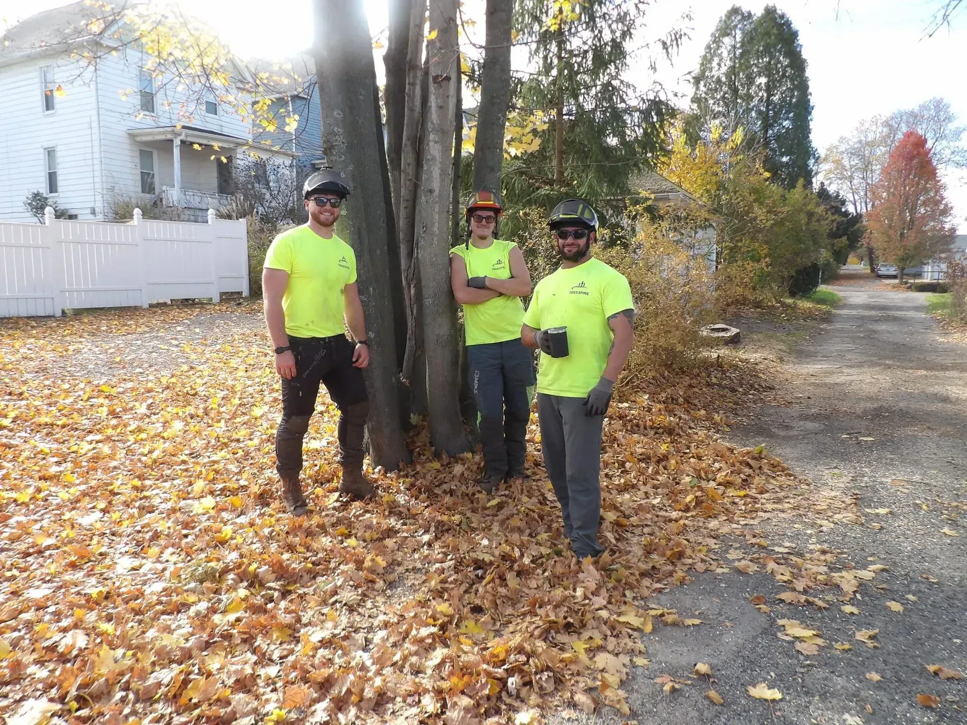 Three tree workers in safety gear stand near trees surrounded by fall leaves.
